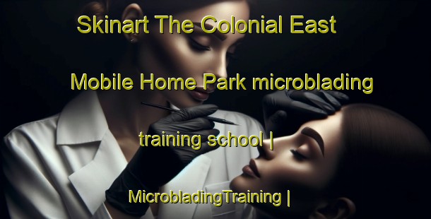 Skinart The Colonial East Mobile Home Park microblading training school | MicrobladingTraining | MicrobladingClasses | SkinartTraining-United States
